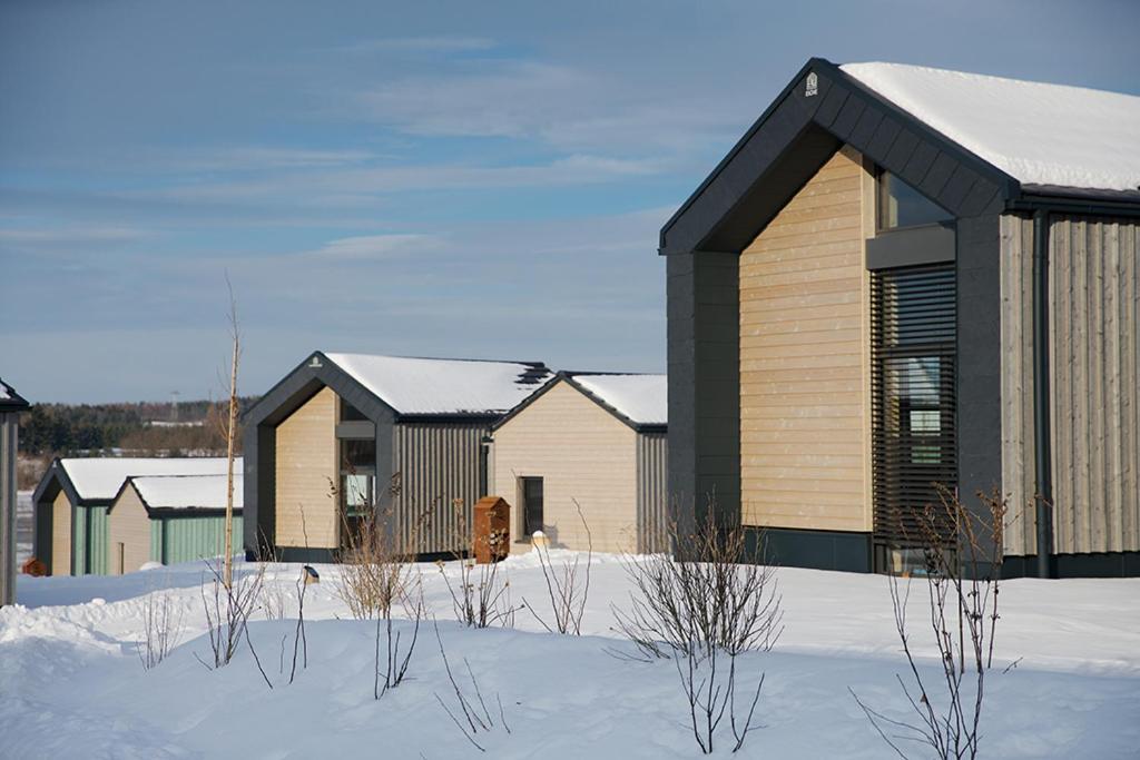 Manoah- Haeuser Am See Villa Zeulenroda-Triebes Eksteriør billede